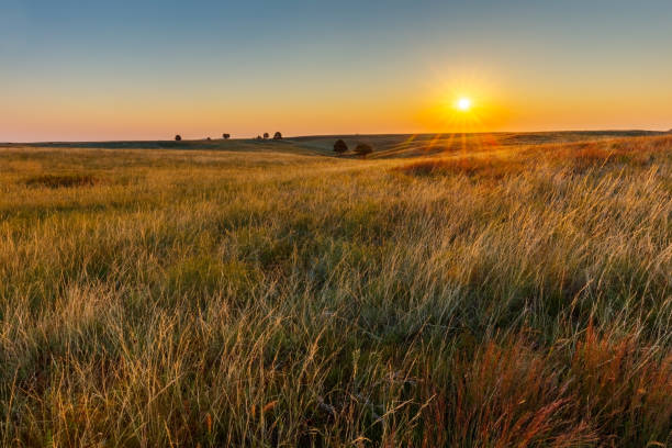 Great Plains Prairie at Sunrise